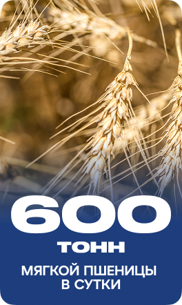 Group 39553
